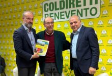 Regionali, Errico (FI): “Subito sburocratizzazione, sostegno ai giovani e una regia istituzionale unica per il rilancio dell’agricoltura nel Sannio”