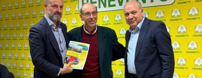 Regionali, Errico (FI): “Subito sburocratizzazione, sostegno ai giovani e una regia istituzionale unica per il rilancio dell’agricoltura nel Sannio”