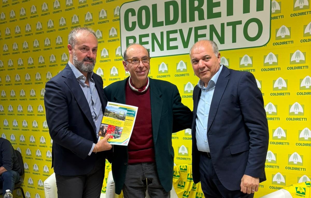 Regionali, Errico (FI): “Subito sburocratizzazione, sostegno ai giovani e una regia istituzionale unica per il rilancio dell’agricoltura nel Sannio”