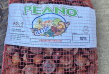 Benevento, sequestrati oltre 40 chili di frutta secca venduta abusivamente