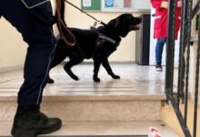 Polizia Penitenziaria, droga nelle carceri: madri e figli spacciatori dietro le sbarre