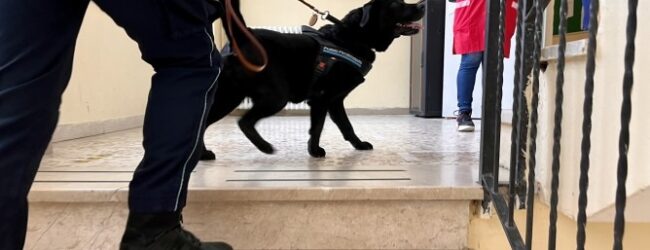 Polizia Penitenziaria, droga nelle carceri: madri e figli spacciatori dietro le sbarre