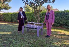 IPSAR “Le Streghe” celebra la Giornata della Gentilezza con l’inaugurazione della Panchina viola