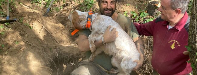 Vigili del Fuoco salvano cane da caccia bloccato in un cunicolo a Torella dei Lombardi