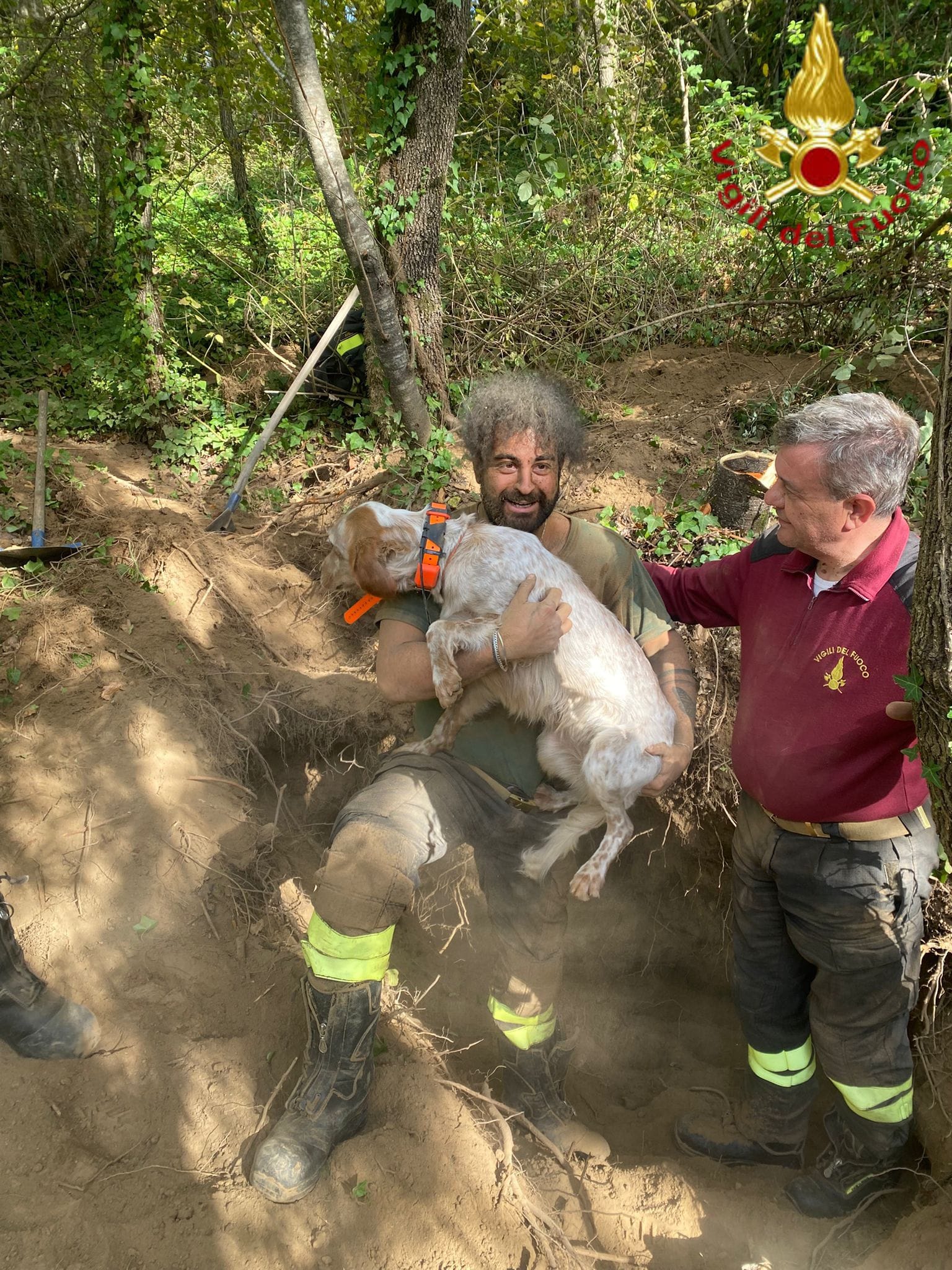 Vigili del Fuoco salvano cane da caccia bloccato in un cunicolo a Torella dei Lombardi