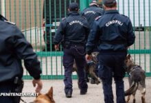 Polizia Penitenziaria, la scena si ripete: ventenne tenta di introdurre droga al padre detenuto a Carinola. Arrestato dai Baschi Azzurri