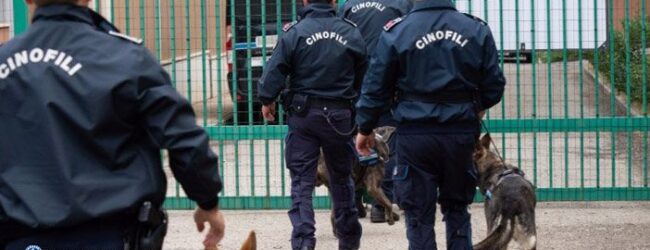Polizia Penitenziaria, la scena si ripete: ventenne tenta di introdurre droga al padre detenuto a Carinola. Arrestato dai Baschi Azzurri