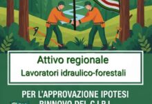 Forestazione in Campania: Attivo Unitario Regionale per l’Approvazione della Piattaforma di Rinnovo del CIRL