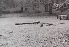 Sannio, arriva la prima neve sul Taburno: paesaggi innevati e clima invernale