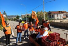 A Castelvenere con Libera “la raccolta delle olive della legalità”