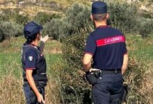 San Giorgio la Molara,  il caso del cane avvelenato: arrivano i cani antiveleno e continuano le indagini