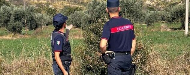 San Giorgio la Molara,  il caso del cane avvelenato: arrivano i cani antiveleno e continuano le indagini