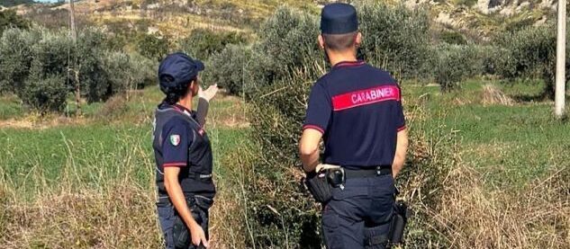 San Giorgio la Molara,  il caso del cane avvelenato: arrivano i cani antiveleno e continuano le indagini