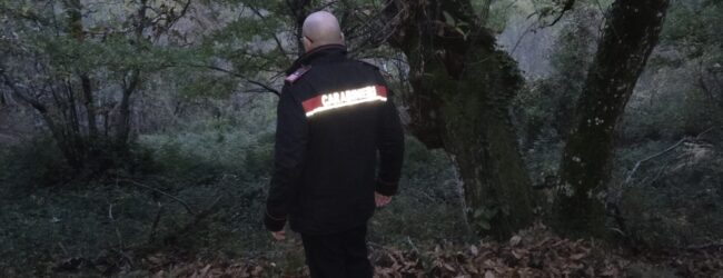 Volturara Irpina, minorenne ferito da colpo di fucile mentre cercava funghi