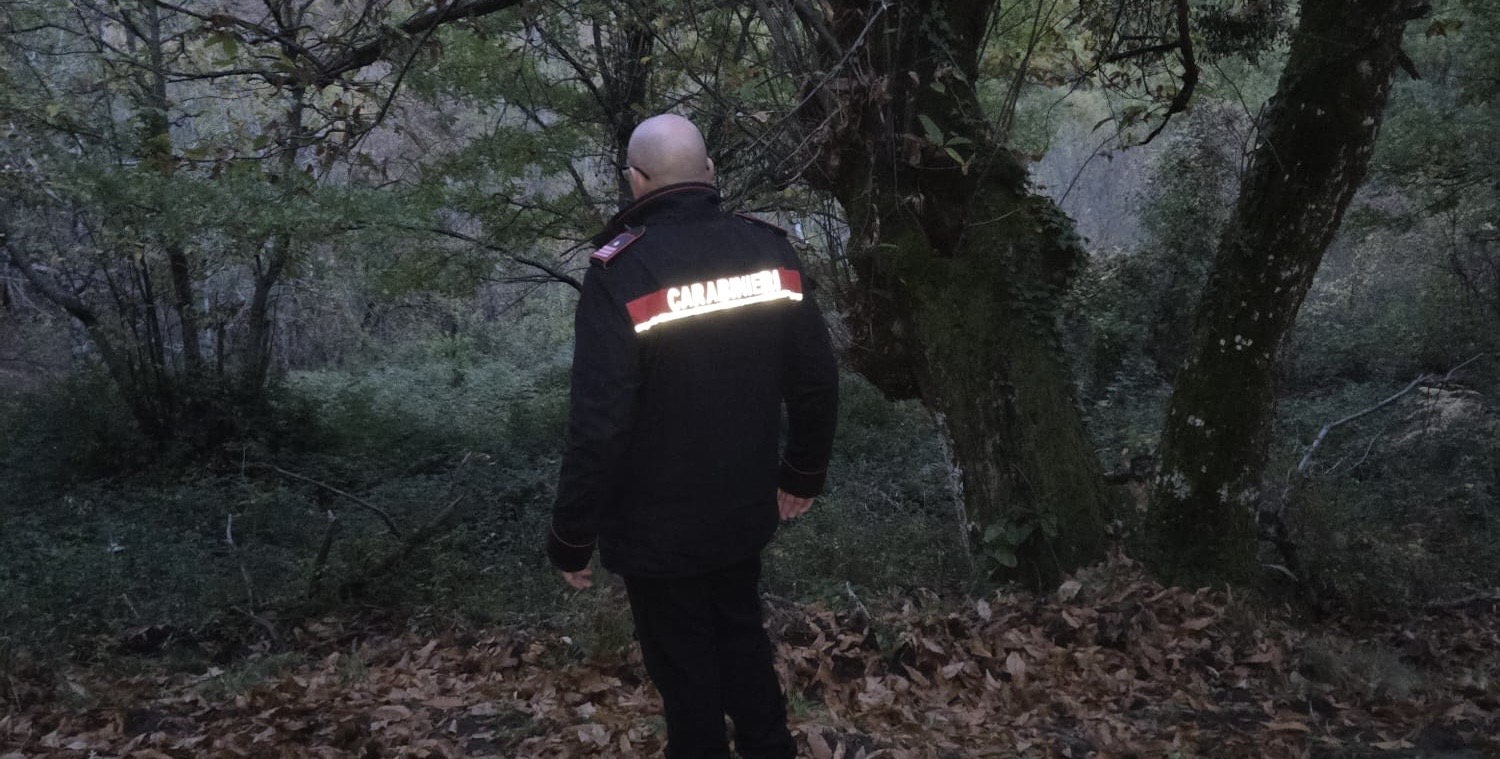 Volturara Irpina, minorenne ferito da colpo di fucile mentre cercava funghi