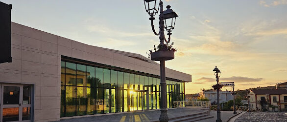 Pietrelcina: il 29 novembre al Palavetro la Giornata mondiale dello stomizzato