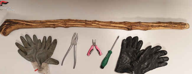 Solofra (AV): sorpreso con un bastone e arnesi da scasso, i Carabinieri denunciano un 38enne e con l’ausilio di unità speciali intensificano i controlli contro furti e droga