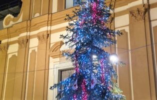 Comunità Montana del Fortore dona albero di Natale alla Croce Rossa di Benevento per i bambini