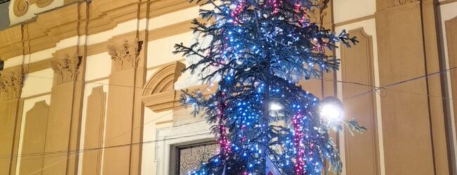 Comunità Montana del Fortore dona albero di Natale alla Croce Rossa di Benevento per i bambini