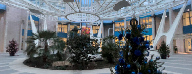 Pronti all’addobbo nella piazza centrale della Città ospedaliera gli alberi della prevenzione, il messaggio di solidarietà che va oltre il Natale   