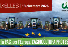 Cia Campania alla marcia di Bruxelles del 18 dicembre