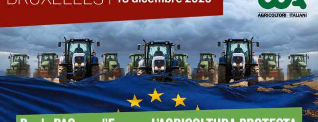 Cia Campania alla marcia di Bruxelles del 18 dicembre