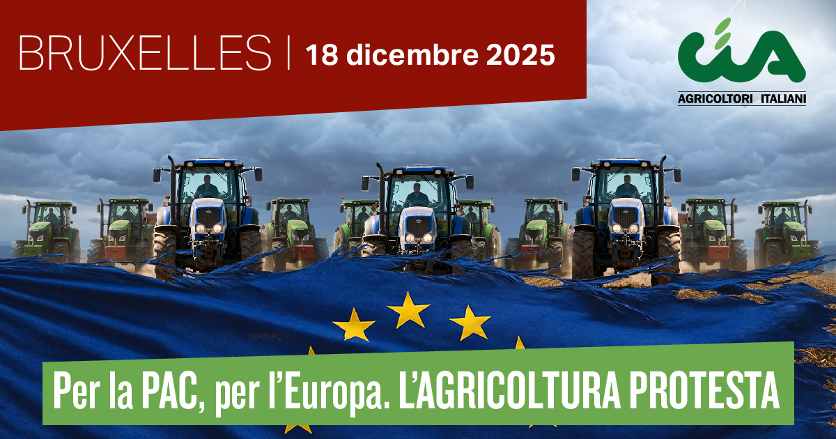 Cia Campania alla marcia di Bruxelles del 18 dicembre