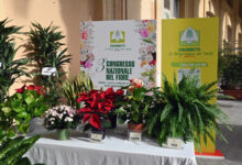 Fiori italiani: Coldiretti traccia le linee guida del futuro, sostenibilita’ ed Agriwedding le nuove frontiere