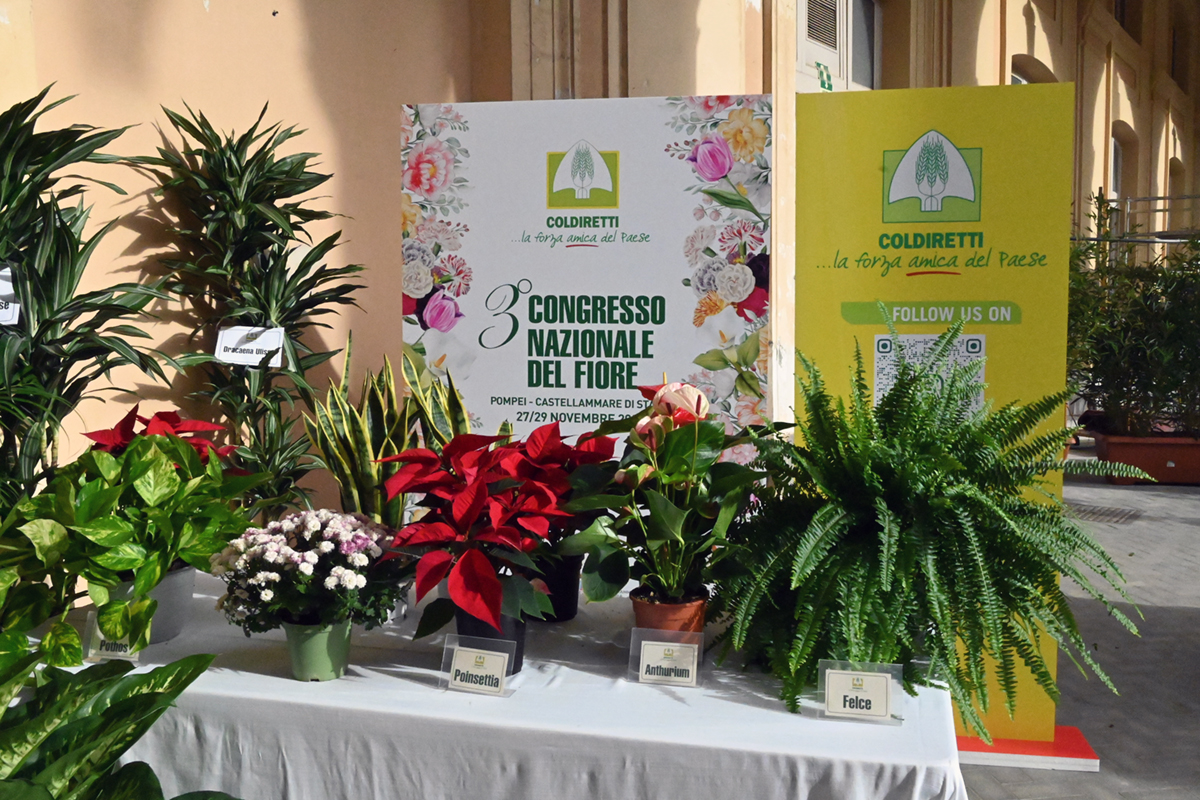 Fiori italiani: Coldiretti traccia le linee guida del futuro, sostenibilita’ ed Agriwedding le nuove frontiere