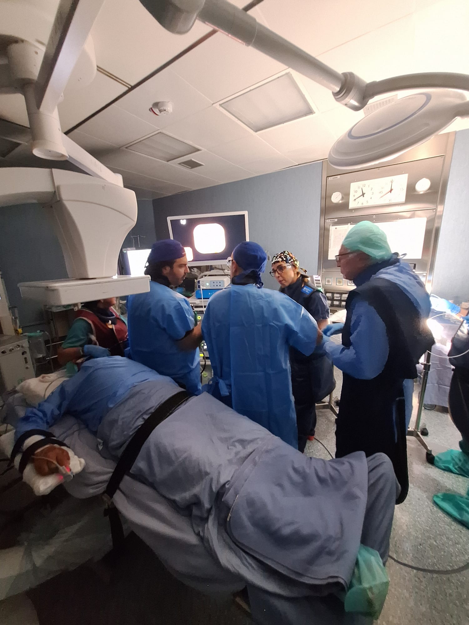 Ospedale Frangipane – Bellizzi, eseguita con successo procedura endoscopica di alta complessità per risolvere complicanza post-operatoria