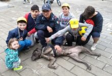 Polizia Penitenziaria, il Nucleo Regionale Cinofili della Campania chiude all’IIS “Telese Terme” Benevento i progetti di legalità per il 2025