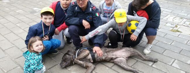 Polizia Penitenziaria, il Nucleo Regionale Cinofili della Campania chiude all’IIS “Telese Terme” Benevento i progetti di legalità per il 2025