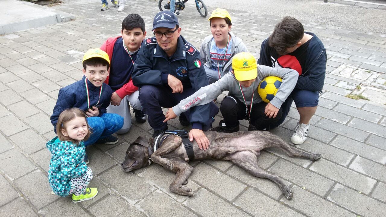 Polizia Penitenziaria, il Nucleo Regionale Cinofili della Campania chiude all’IIS “Telese Terme” Benevento i progetti di legalità per il 2025