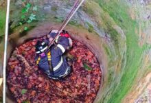 Vigili del Fuoco salvano cane caduto in un pozzo: “Grazie per il salvataggio del nostro amico a quattro zampe”