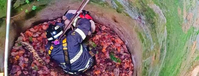 Vigili del Fuoco salvano cane caduto in un pozzo: “Grazie per il salvataggio del nostro amico a quattro zampe”