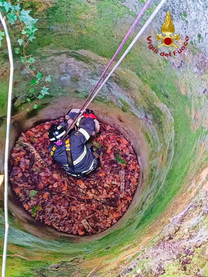 Vigili del Fuoco salvano cane caduto in un pozzo: “Grazie per il salvataggio del nostro amico a quattro zampe”