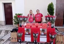 La Pro Loco Generoso Papa di Arpaise, ha aderito alla manifestazione solidale dell’Ail Benevento, Stelle di Natale 2025