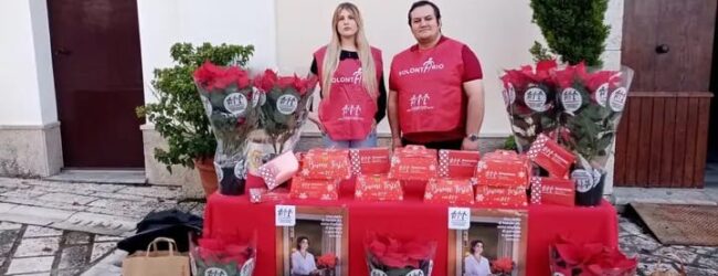 La Pro Loco Generoso Papa di Arpaise, ha aderito alla manifestazione solidale dell’Ail Benevento, Stelle di Natale 2025
