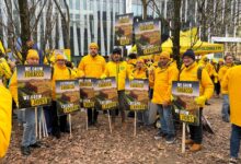 Manifestazione Bruxelles, Masiello (Coldiretti) : Salviamo la politica agricola europea dalla tecnocrazia