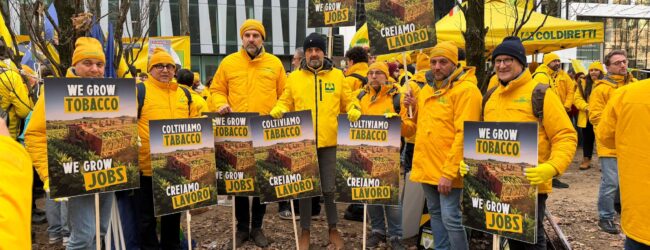 Manifestazione Bruxelles, Masiello (Coldiretti) : Salviamo la politica agricola europea dalla tecnocrazia