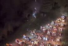 A San Giorgio La Molara torna l’Agrialbero: quando l’agricoltura illumina il Natale