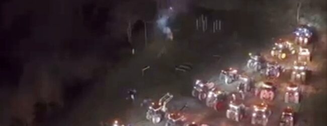 A San Giorgio La Molara torna l’Agrialbero: quando l’agricoltura illumina il Natale