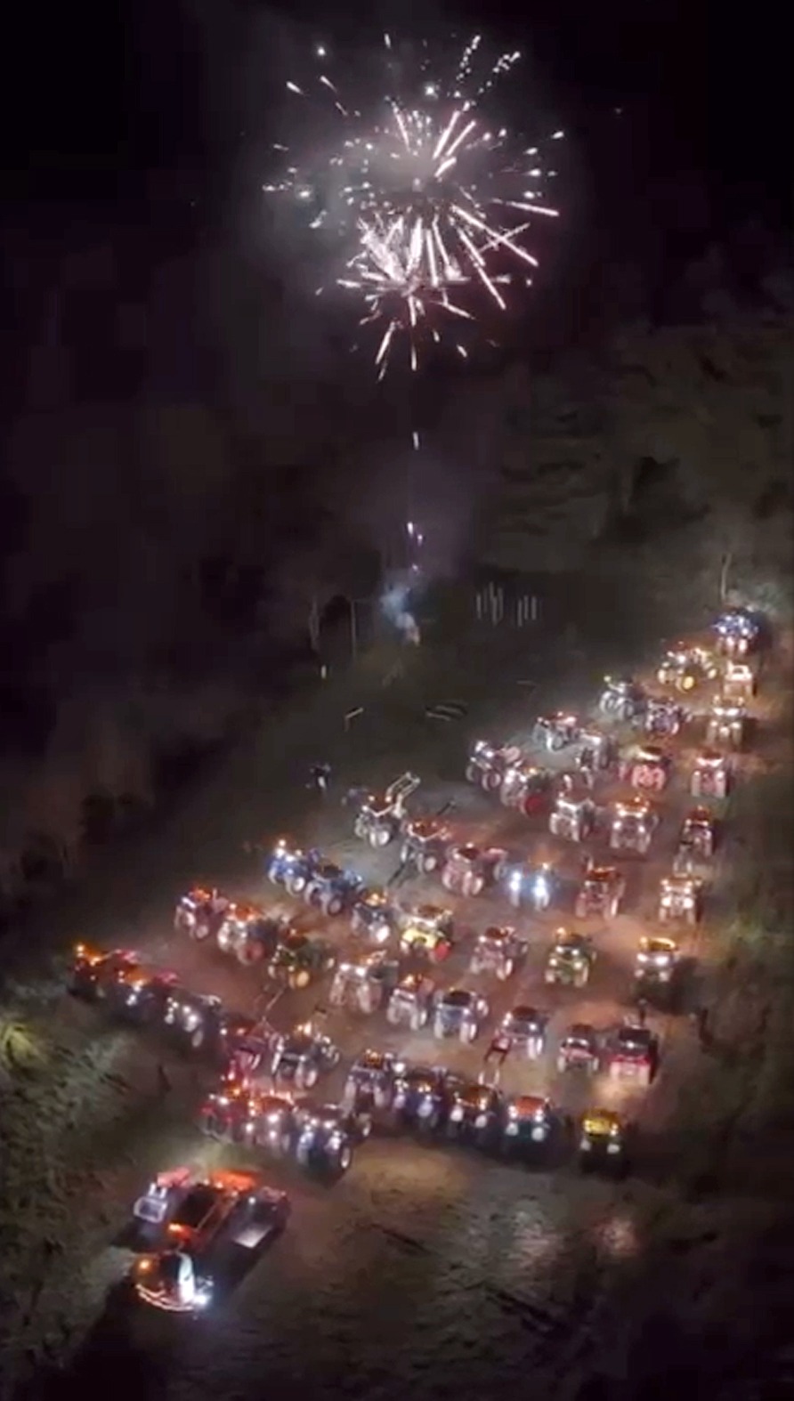 A San Giorgio La Molara torna l’Agrialbero: quando l’agricoltura illumina il Natale