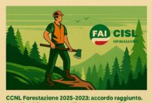 CCNL Forestazione 2025-2028 accordo raggiunto: ora, appello al Governatore Fico per onorare il Lavoro delle “Sentinelle del territorio”