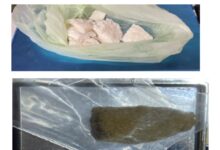 San Salvatore Telesino, 18enne arrestato per spaccio di stupefacenti: sequestrati 250 grammi di marijuana e crack