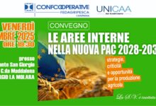 San Giorgio La Molara, convegno sulle aree interne e la nuova PAC 2028-2034