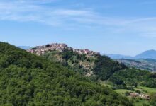 Cani avvelenati, “Terre di Lavoro” San Giorgio la Molara : “serve chiarezza e prevenzione”