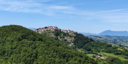 Cani avvelenati, “Terre di Lavoro” San Giorgio la Molara : “serve chiarezza e prevenzione”