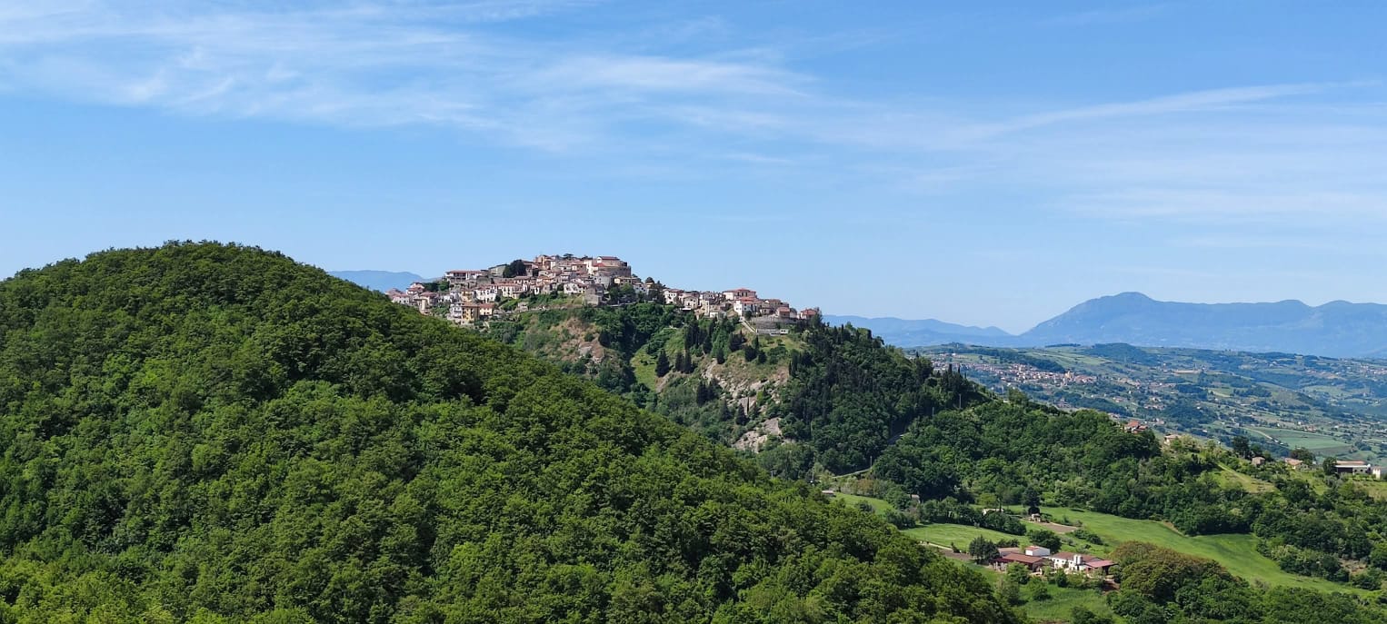 Cani avvelenati, “Terre di Lavoro” San Giorgio la Molara : “serve chiarezza e prevenzione”