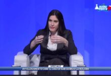 Caso randagismo a San Giorgio la Molara: Petrone ribadisce la necessità di chiarezza e rispetto dei ruoli